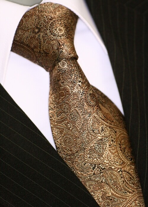 Binder de Luxe Designer Krawatte Einstecktuch Krawatten Set Tie 428 braun Tlg 